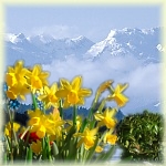 Fr&uuml;hling in Bayern