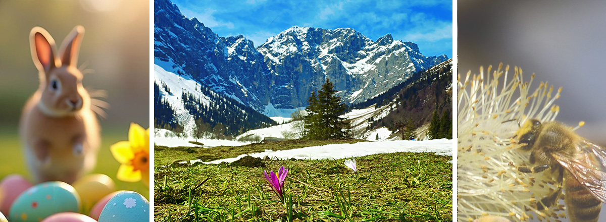 die ersten Frühlinsboten!