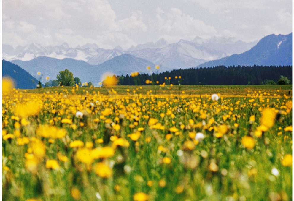 Frühling im Tal - Winter am Berg